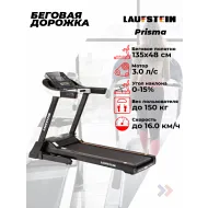 Беговая дорожка для большого веса Laufstein Prisma