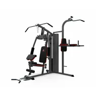 Силовой комплекс DFC D7004 (D7003 + опция брусья)