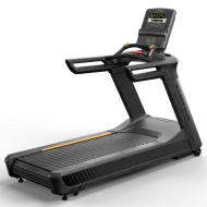 Беговая дорожка Matrix Performance Plus LED (2020)